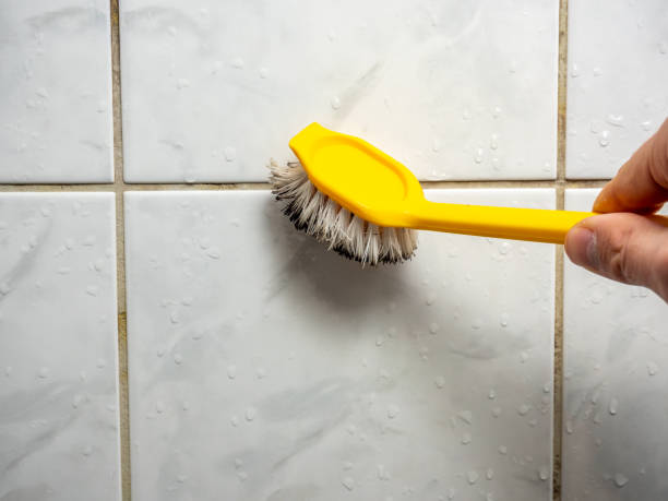 Best Fast Mold Removal  in Coeur Dalene, ID