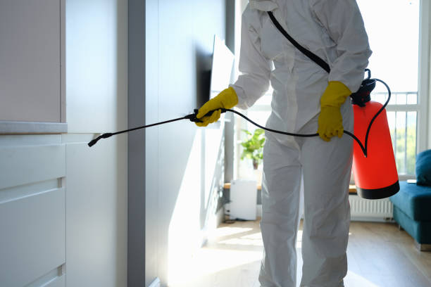 Best Residential Mold Removal  in Coeur Dalene, ID