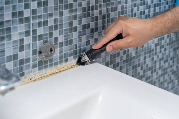 Best Best Mold Removal Companies  in Coeur Dalene, ID