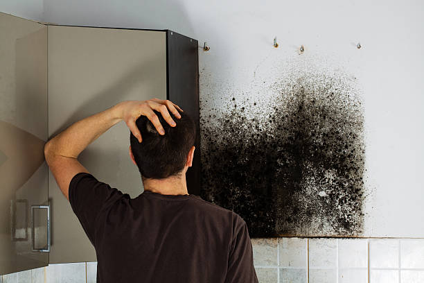 Best Affordable Mold Removal  in Coeur Dalene, ID